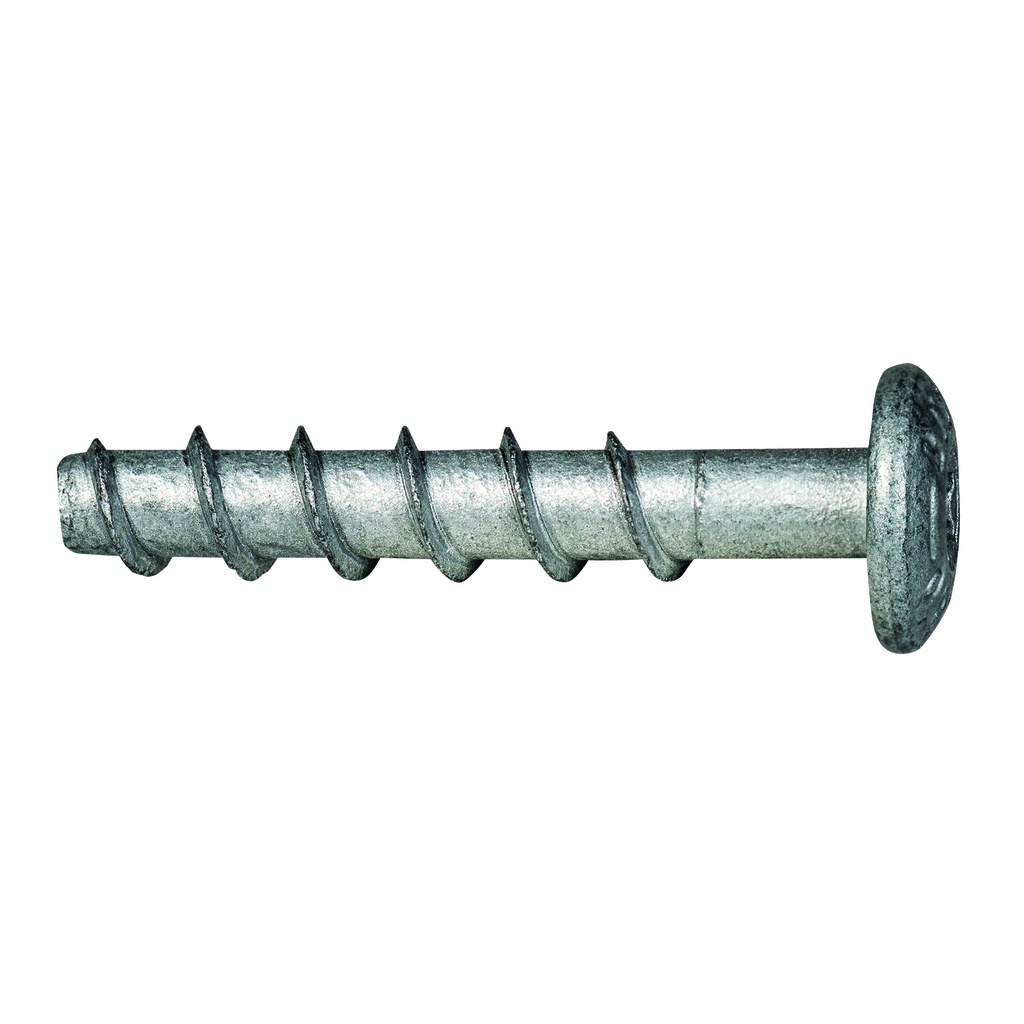 celo vis à béton tête plate BTS PT 6-55/5 (100)