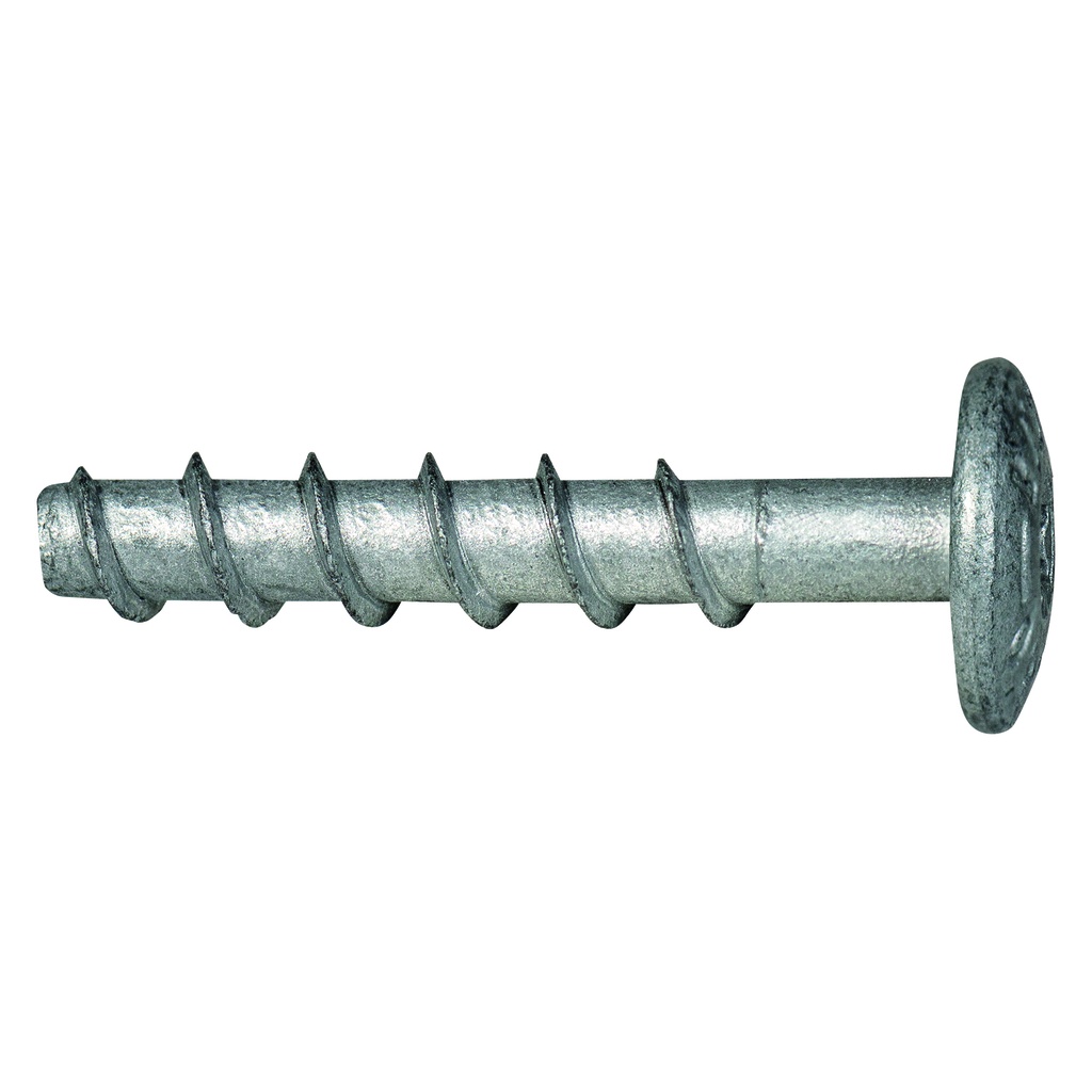 celo vis à béton tête plate BTS6 PTL 6-55/5 (100)