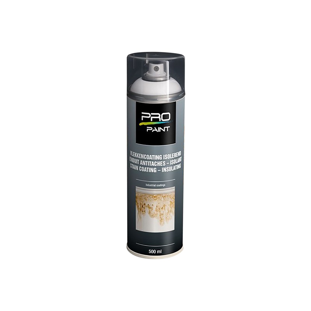 pro-paint vernis de teinture